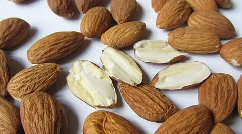 تصویر 3 از قیمت خرید بادام مامایی پویا + فروش ویژه